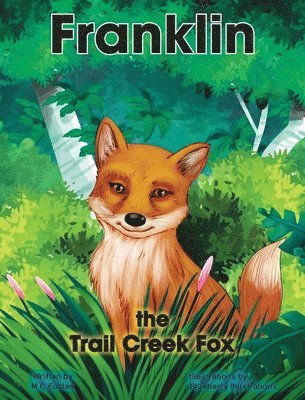 Franklin the Trail Creek Fox