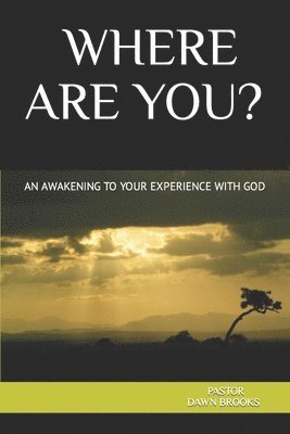 bokomslag Where Are You? an Awakening to Your Experience with God