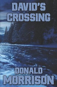 bokomslag David's Crossing