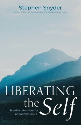 bokomslag Liberating the Self