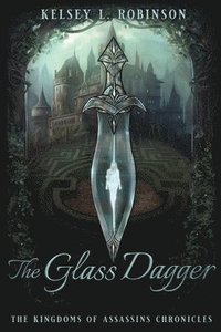 bokomslag Glass Dagger