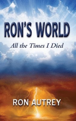 bokomslag Ron's World