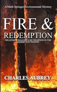 bokomslag Fire and Redemption