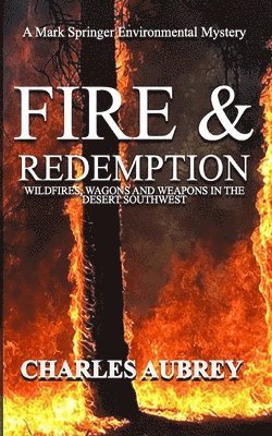 bokomslag Fire and Redemption