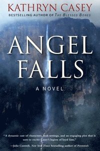 bokomslag Angel Falls