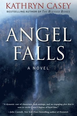 Angel Falls 1