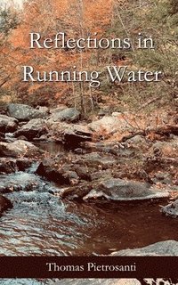 bokomslag Reflections in Running Water