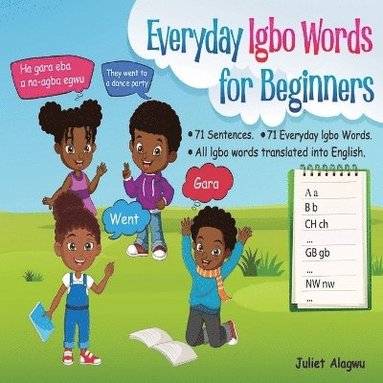 bokomslag Everyday Igbo Words for Beginners