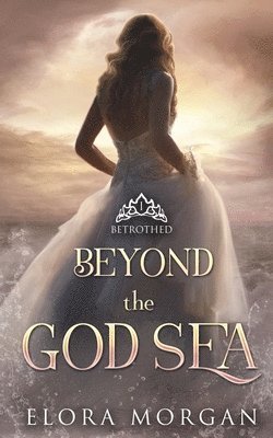 bokomslag Beyond the God Sea