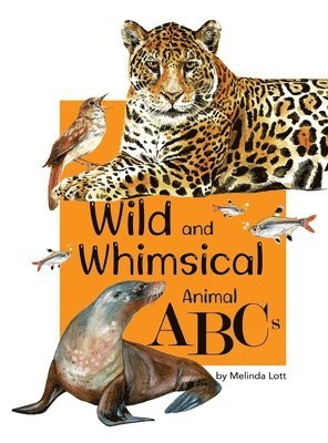 Wild and Whimsical Animal ABC's 1