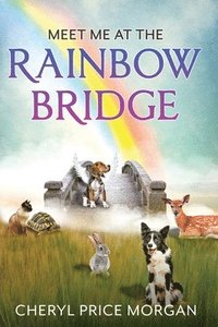 bokomslag Meet Me at the Rainbow Bridge