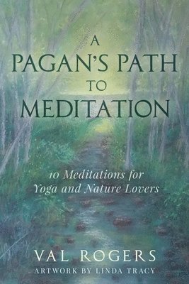 bokomslag A Pagan's Path to Meditation