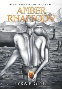 bokomslag Amber Rhapsody