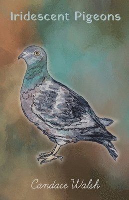 Candace Walsh - Iridescent Pigeons, Häftad