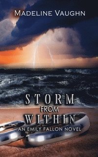 bokomslag Storm From Within An Emily Fallon Novel