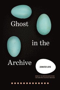bokomslag Ghost in the Archive