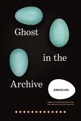 bokomslag Ghost in the Archive