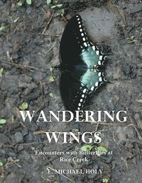 bokomslag Wandering Wings