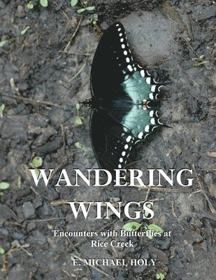 bokomslag Wandering Wings