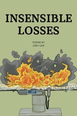 bokomslag Insensible Losses