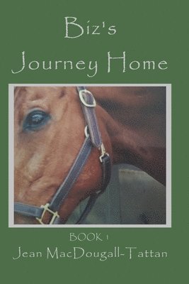 Biz's Journey Home 1