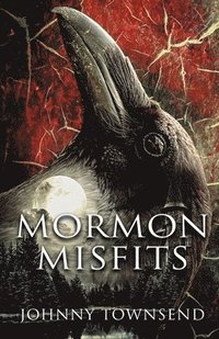 bokomslag Mormon Misfits