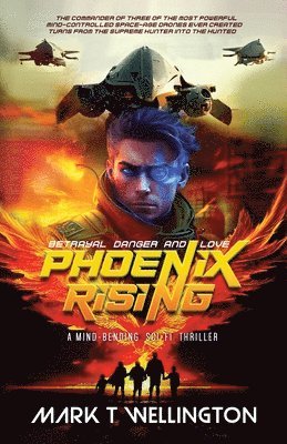 bokomslag Phoenix Rising