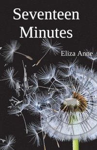 bokomslag Seventeen Minutes