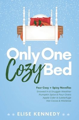 Only One Cozy Bed 1