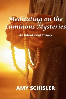 bokomslag Meditating on the Luminous Mysteries