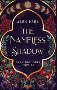 bokomslag Nameless Shadow
