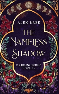 bokomslag Nameless Shadow