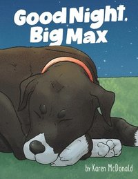 bokomslag Good Night Big Max