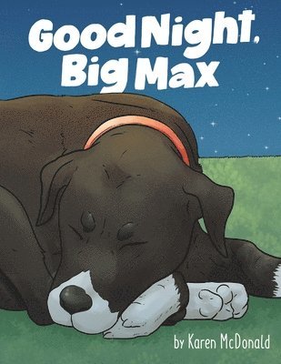 Good Night Big Max 1