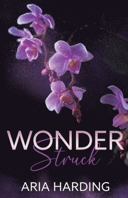 Wonderstruck 1