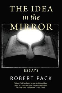 bokomslag The Idea in the Mirror