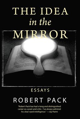 The Idea in the Mirror 1