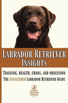Labrador Retriever Insights