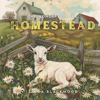 bokomslag Wonders on the Homestead