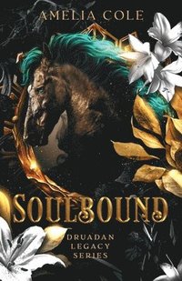 bokomslag Soulbound