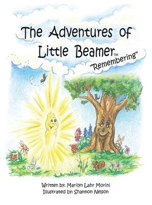 bokomslag The Adventures of Little Beamer