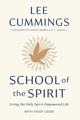 bokomslag School of the Spirit