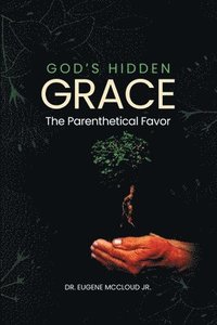 bokomslag God's Hidden Grace: the Parenthetical Favor
