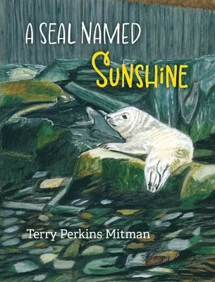 A Seal Named Sunshine 1