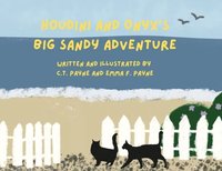 bokomslag Houdini and Onyx's Big Sandy Adventure