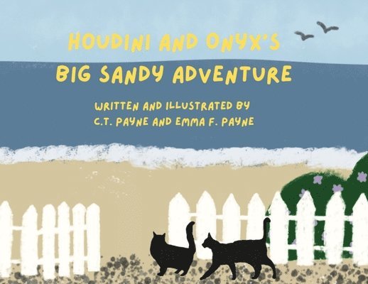 Houdini and Onyx's Big Sandy Adventure 1