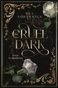 bokomslag Cruel Dark