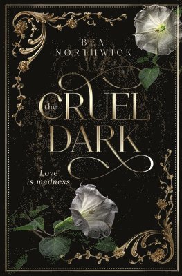 bokomslag Cruel Dark