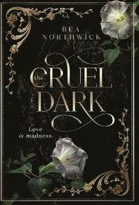 bokomslag Cruel Dark