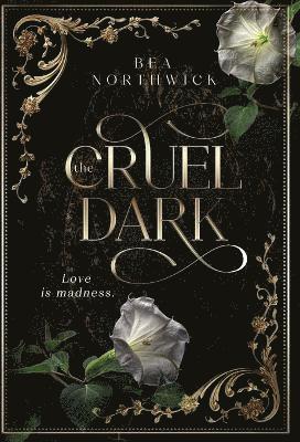 bokomslag Cruel Dark